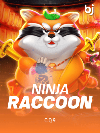 Ninja Raccoon thumbnail